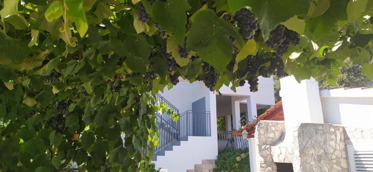 Apartment Lavanda Nova Ražanj Exterior foto
