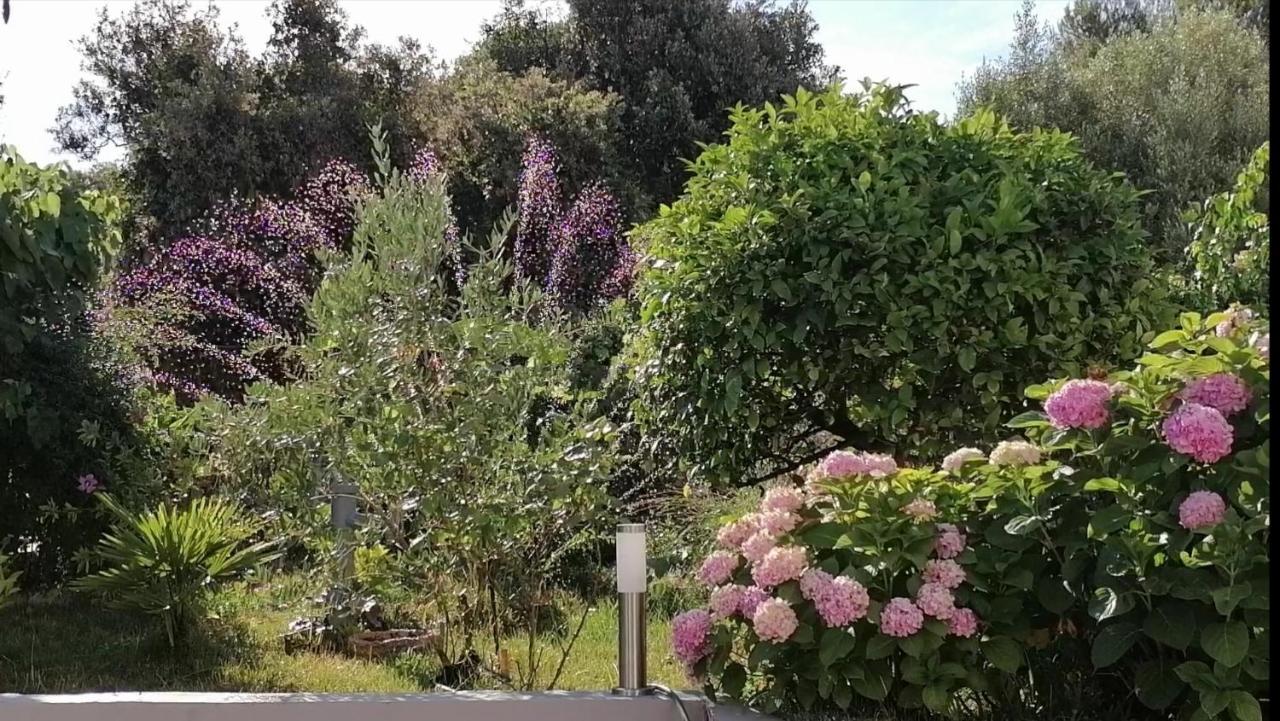 Apartment Lavanda Nova Ražanj Exterior foto
